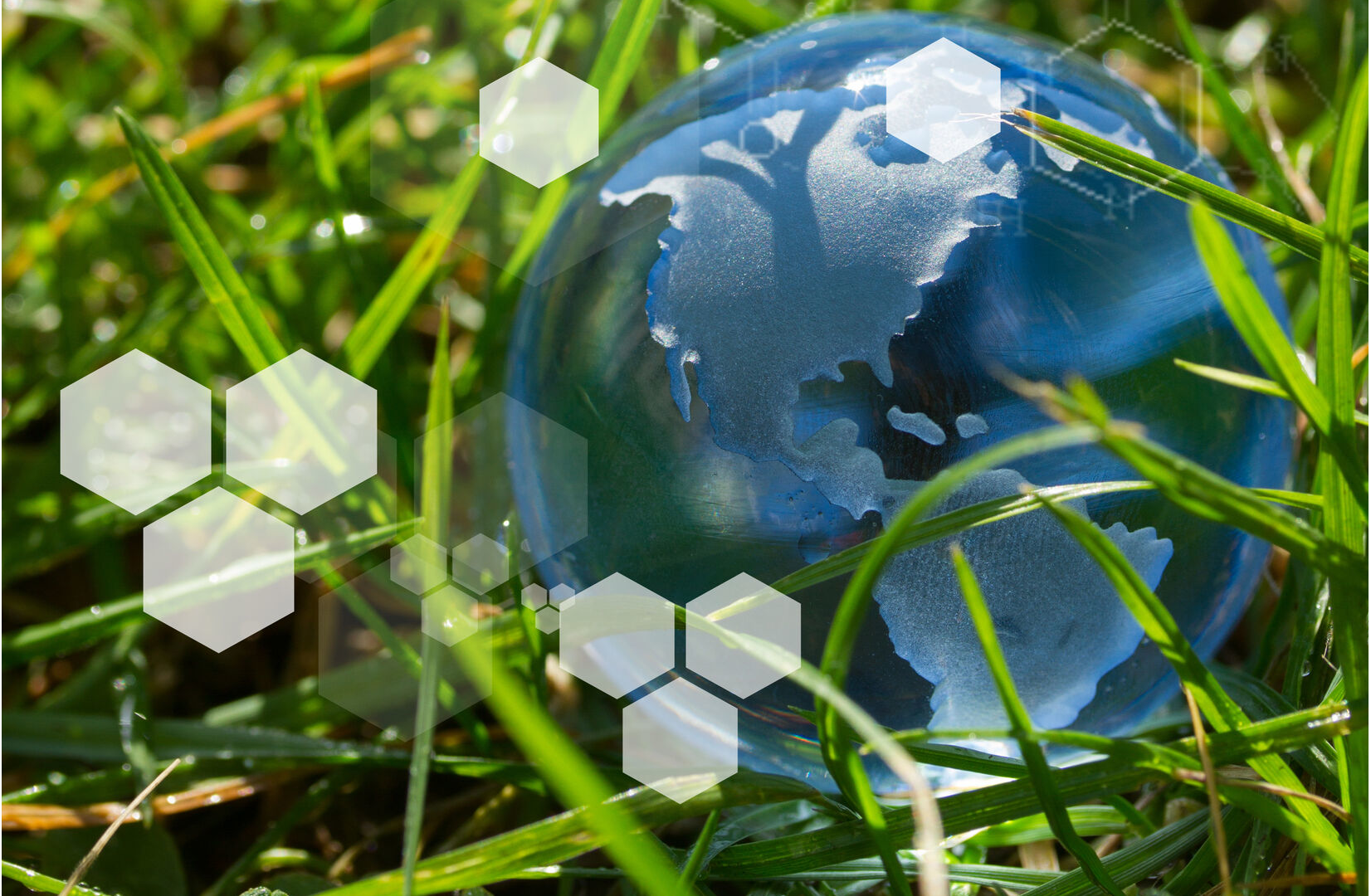 Sustainability