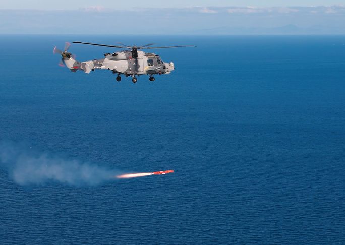 SEA VENOM ON WILDCAT